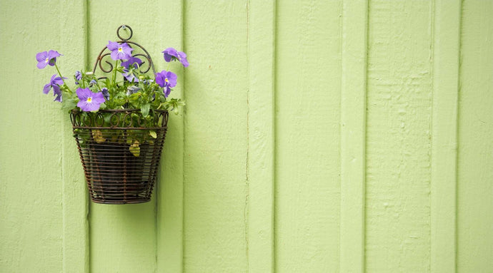 Decoración de Año Nuevo utilizando tus plantas de interior
