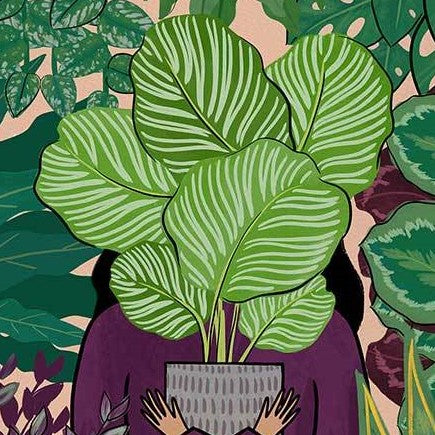 5 plantas que te ayudarán a dominar el cuidado personal