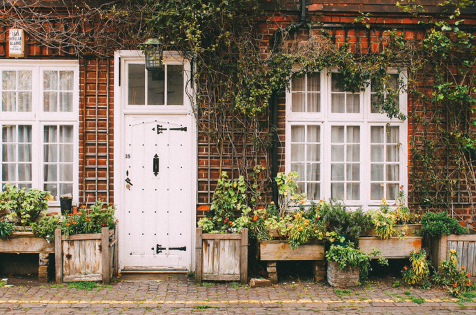 Ideas de jardinería urbana para principiantes