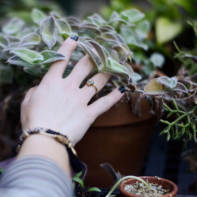 El NHS prescribe plantas para tratar la depresión