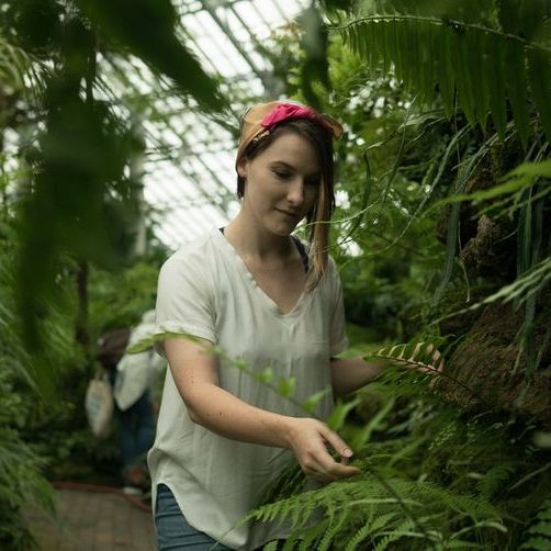 El dominio de las plantas y el envejecimiento: Por qué el cuidado activo de las plantas puede hacernos sentir más controlados en la vejez