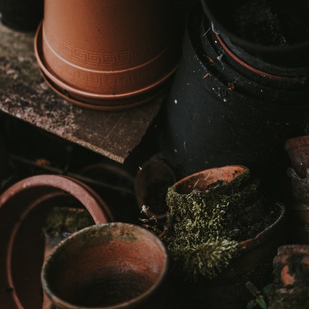 Mujeres pioneras de la jardinería